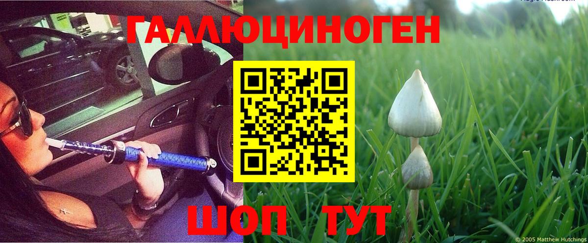 Псилоцибиновые грибы Psilocybine cubensis  Вход с VPN  где продают наркотики  Ачинск 